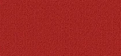 Alfombras Modulares SHAW TRU COLO U RS (59368)