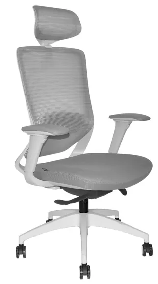 Sillas De Oficina Nefi - Gerente