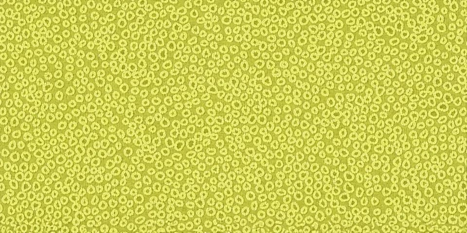 Piso vinílico en rollo - Lime Medium (434248) (D) - 2.00 m ancho de rollo