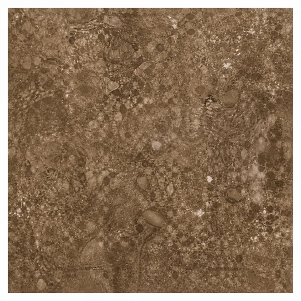 Porcelanato - Chocolate Pulido - 60 x 60 cm