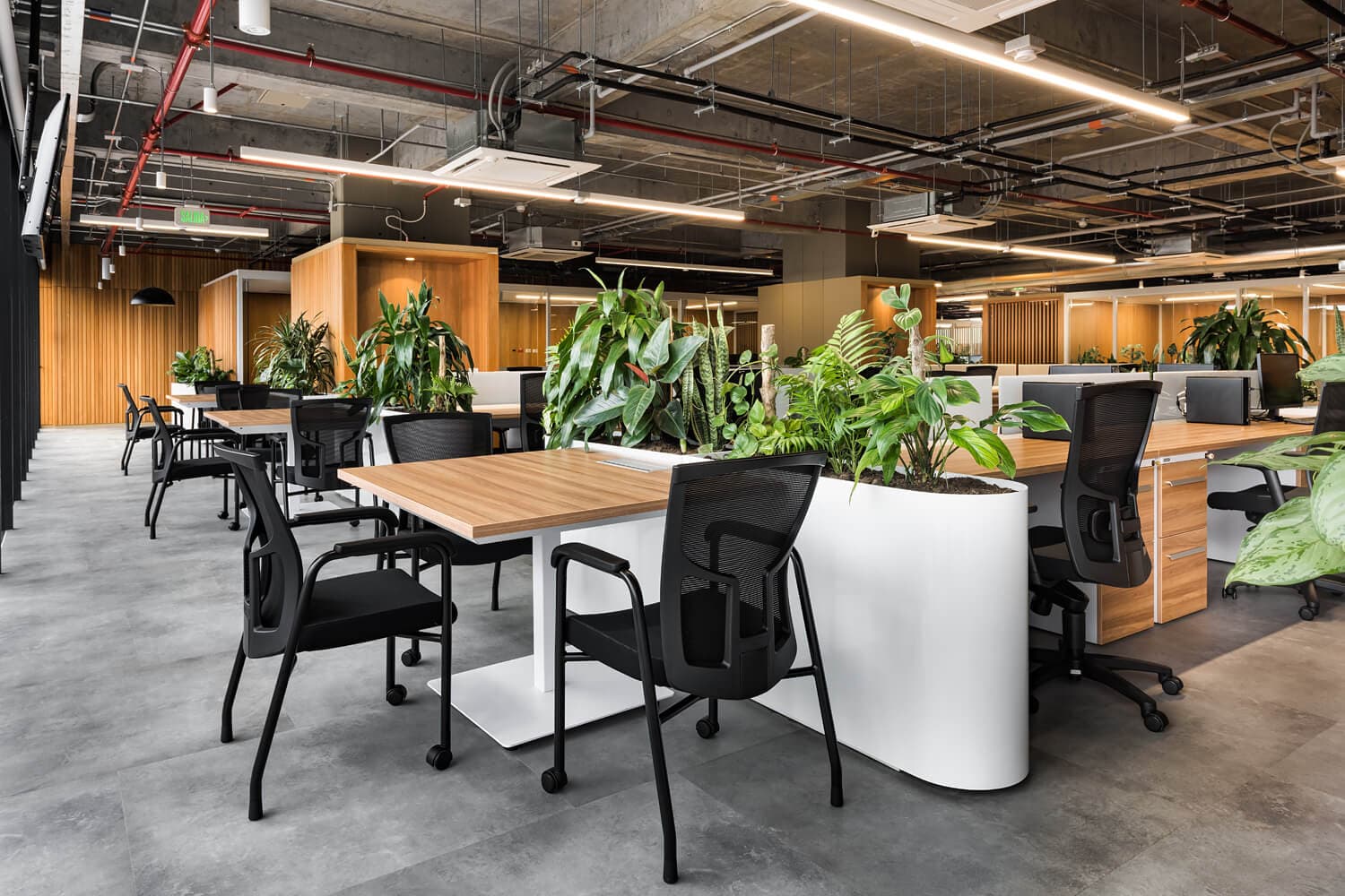 Equipo SG Acabados en obra