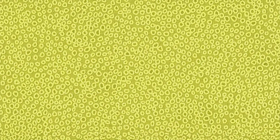 Piso vinílico en rollo - Lime Medium (434248) (D) - 2.00 m ancho de rollo