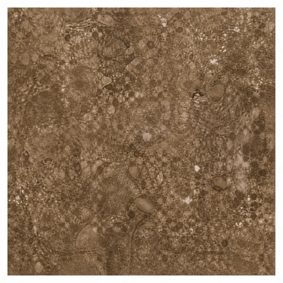 Porcelanato - Chocolate Pulido - 60 x 60 cm