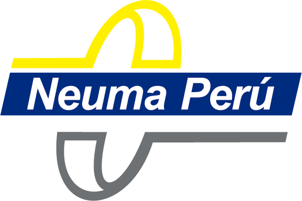 Neuma Perú Contratistas Generales